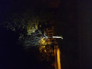 dsc_0509